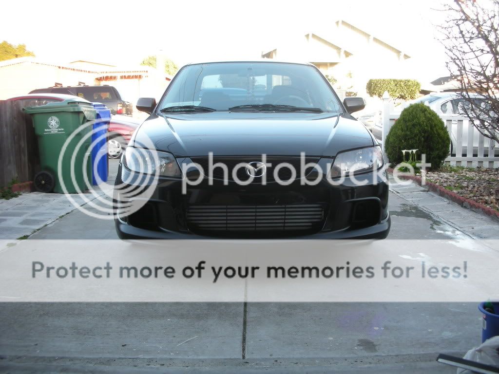 newpics140.jpg