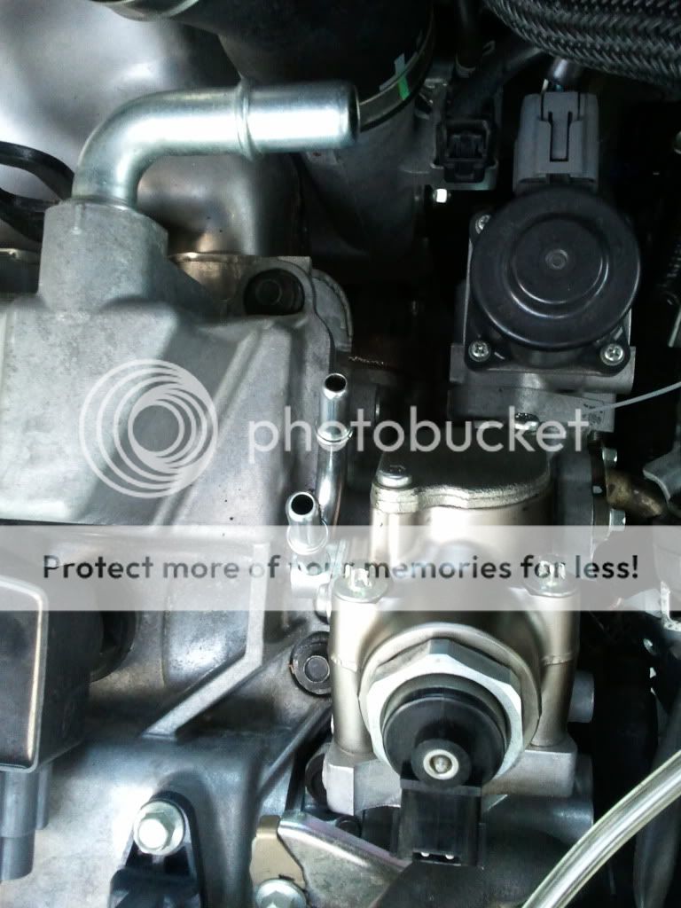 2011-03-26191646.jpg