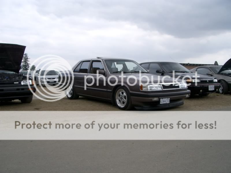 IMGP3424-1.jpg
