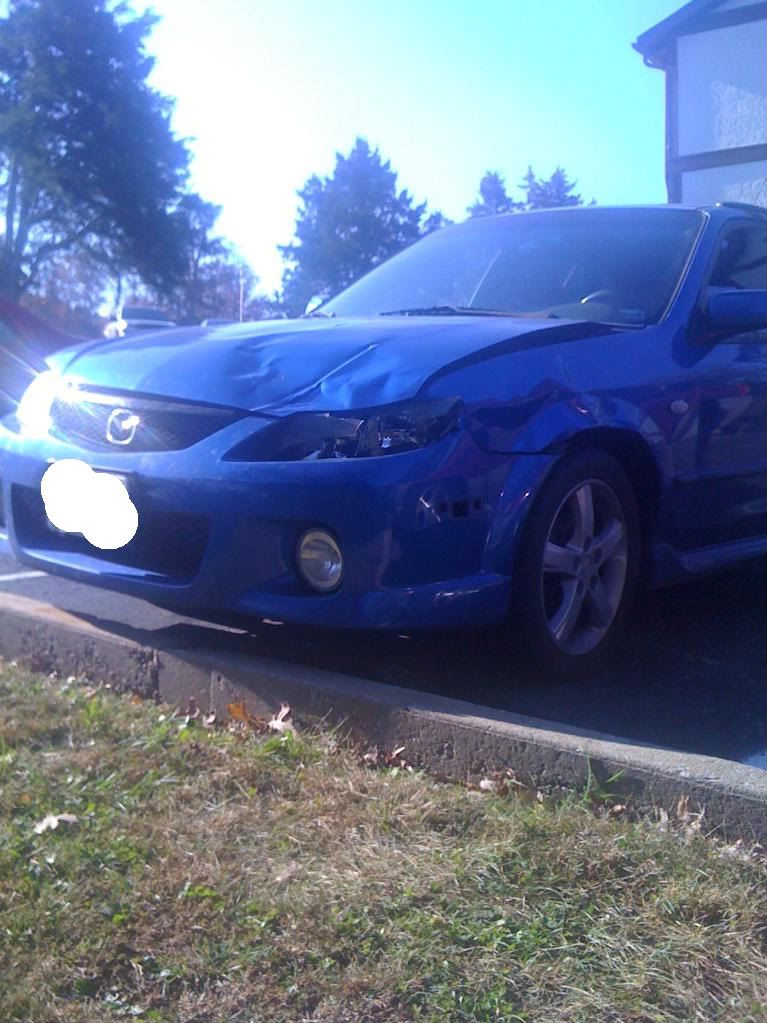 damndeer001.jpg