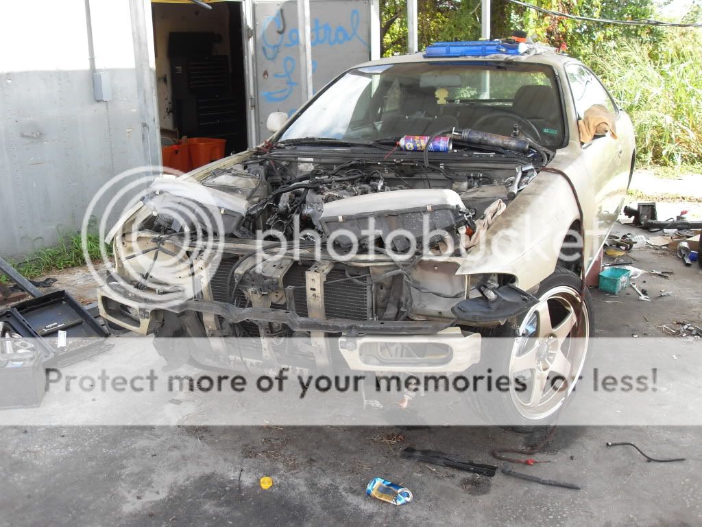 carnobumper.jpg