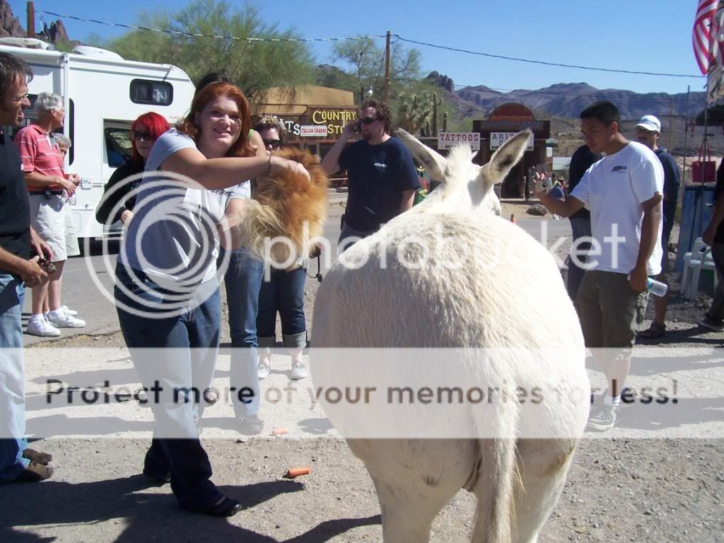 100_2673.jpg