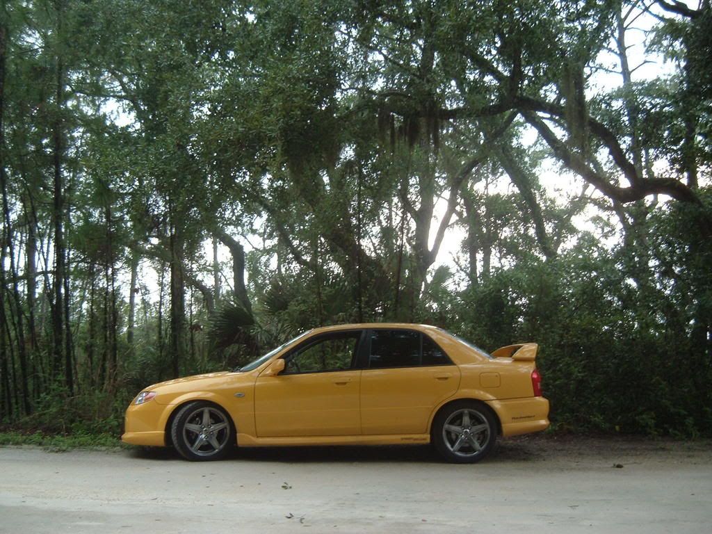 DSCF0933.jpg
