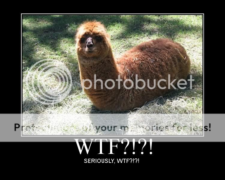 wtf.jpg