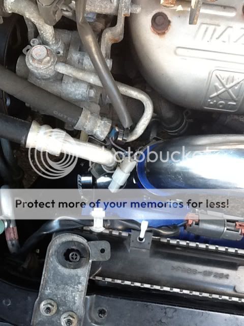 12fda498.jpg