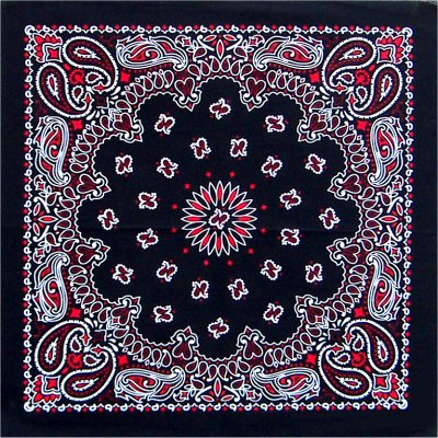 blackred_paisley_lg.jpg