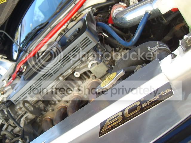 STA6001019.jpg