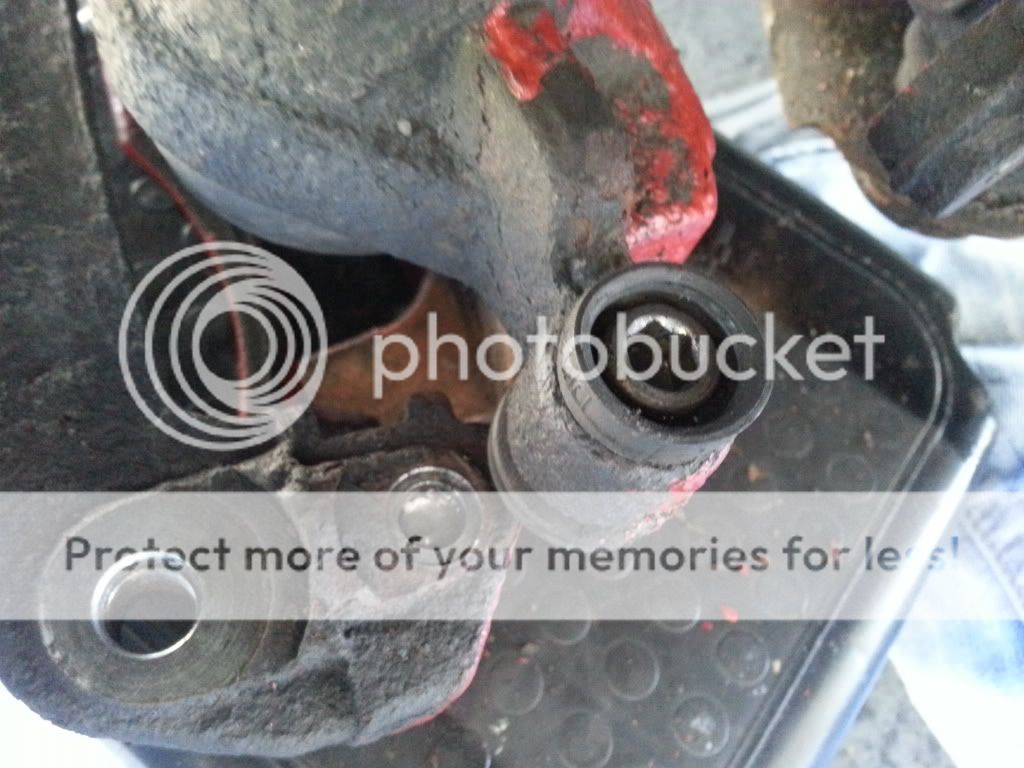 2013-05-04161948_zpsfefbbfdd.jpg