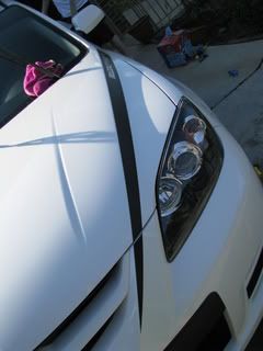 IMG_0707.jpg
