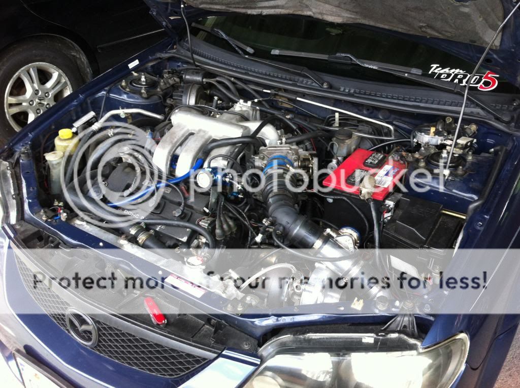 IMG_0178_zps0e9b2bf8.jpg