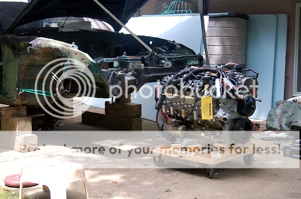DSC_8551.jpg