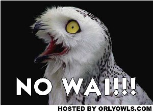 nowai.jpg