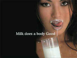 milk.jpg