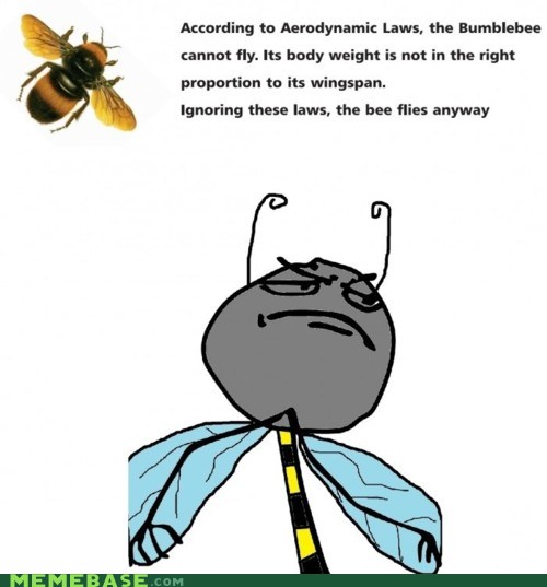 UPTiODDfukup6dosITaMQA2.jpg