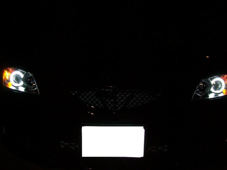 Picture018.jpg