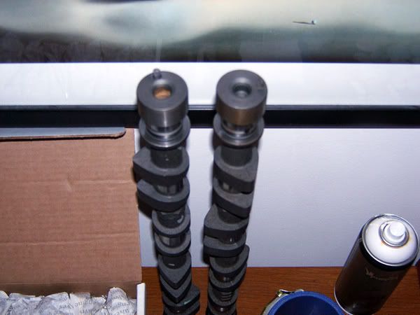 crowercams.jpg
