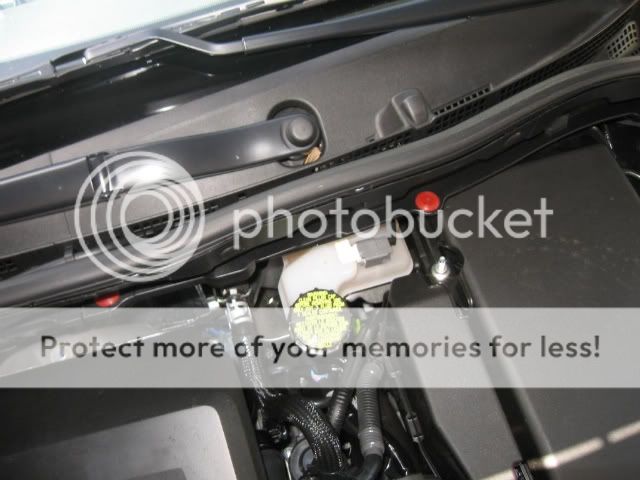 IMG_1536.jpg