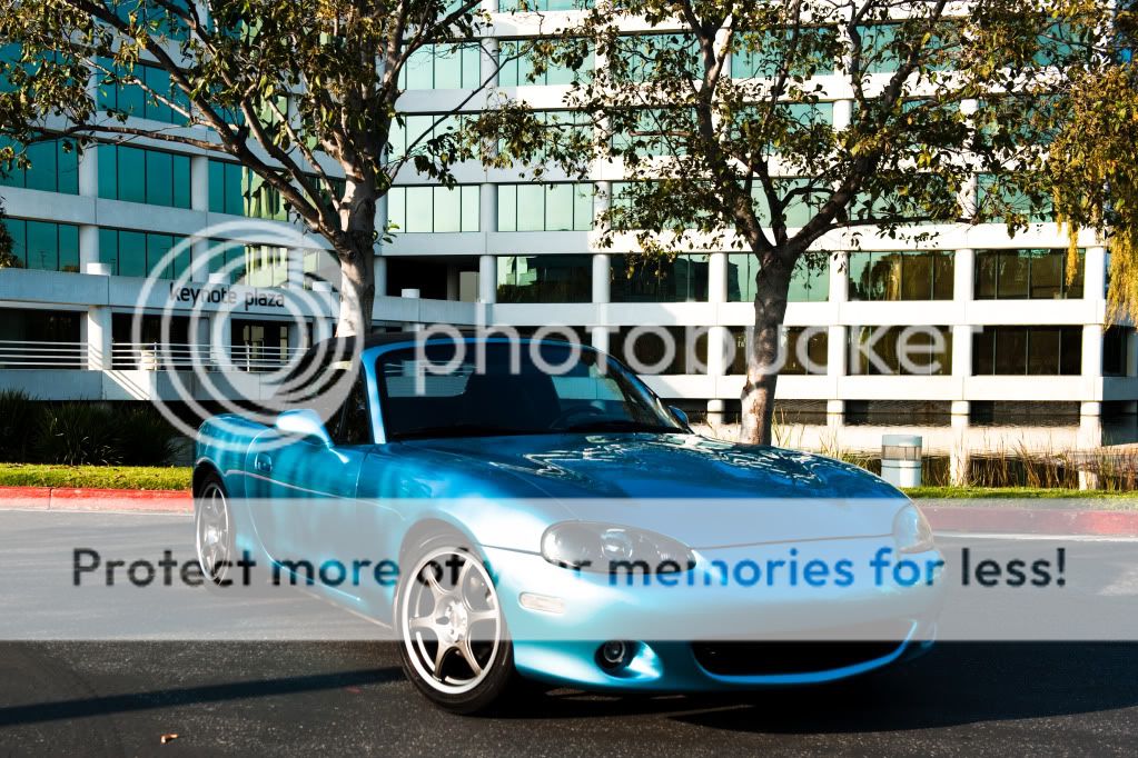 TheMiata-2-2.jpg