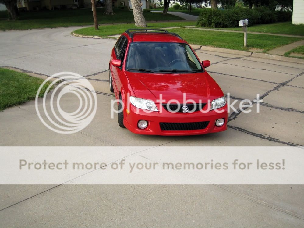 IMG_1242_auto_levels.jpg