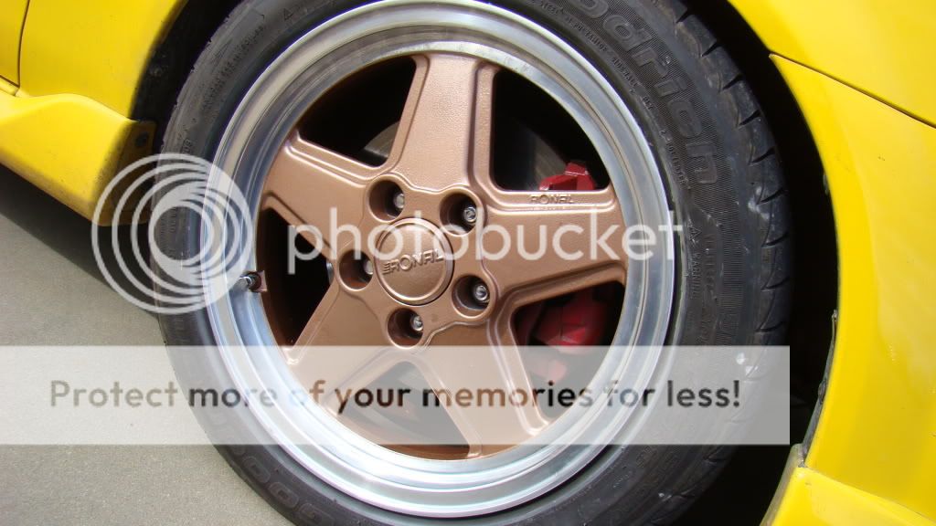 DSC07113.jpg