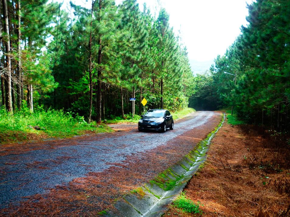 P1000851.jpg