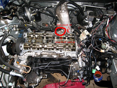 2274857602_b8cc2d82da.jpg