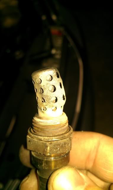 IMAG0104.jpg