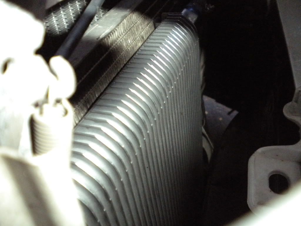DSCN0775.jpg