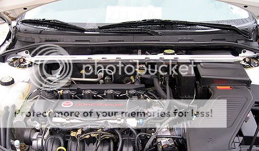 IMG_0709W.jpg