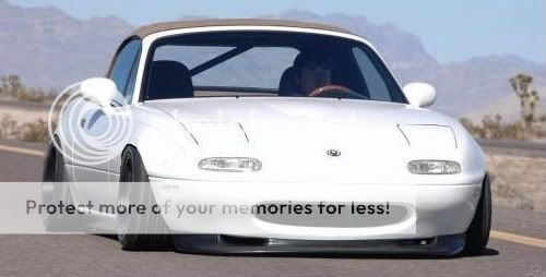 albertcopylj3.jpg