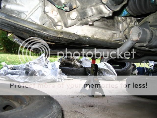 IMG_1780.jpg