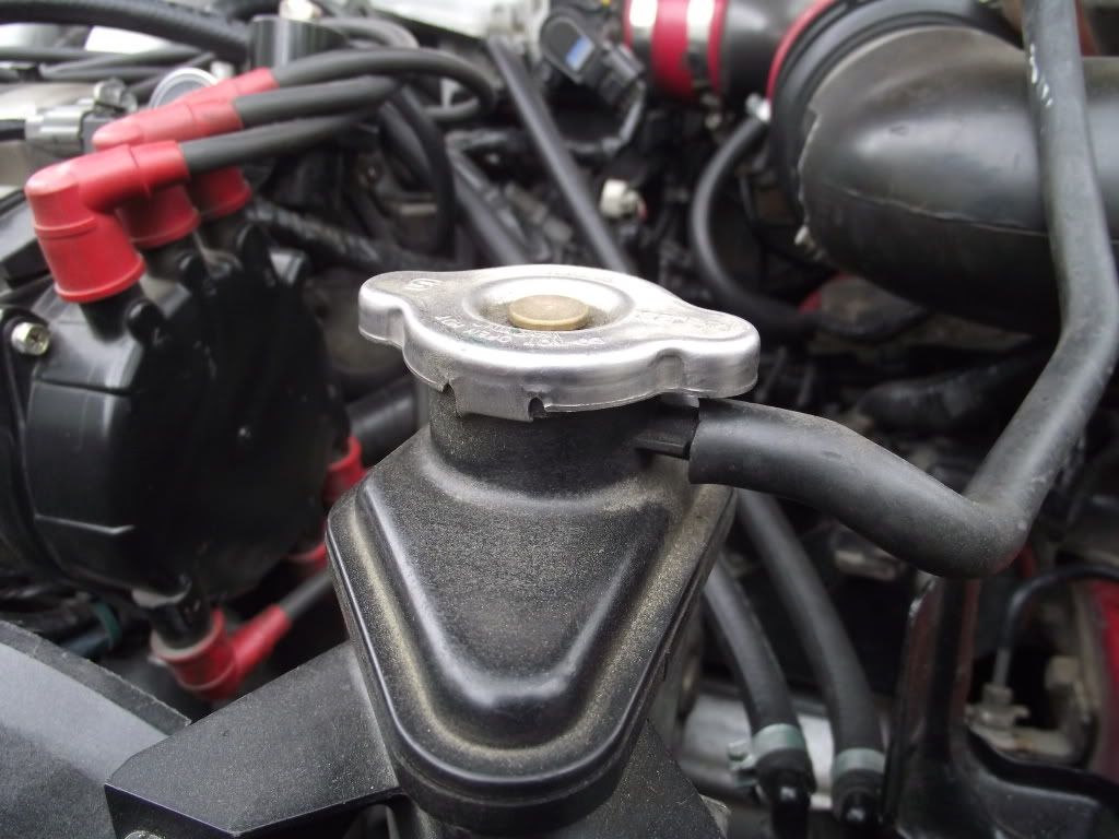 DSCF1126.jpg