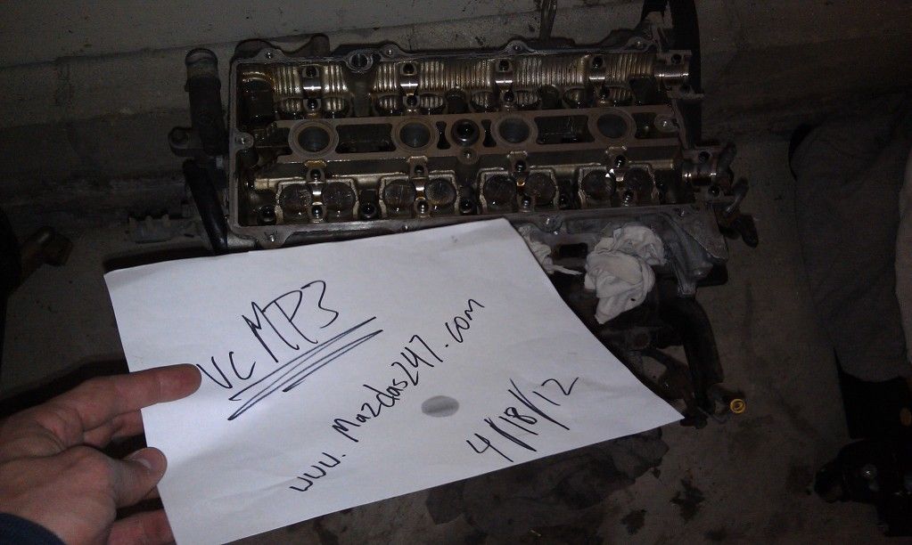 IMAG0557.jpg