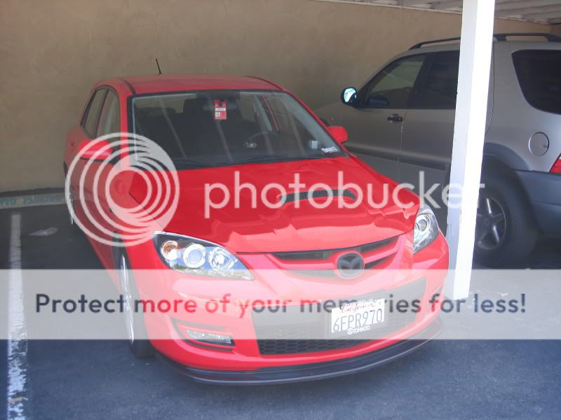SpeedHollywood009copy.jpg