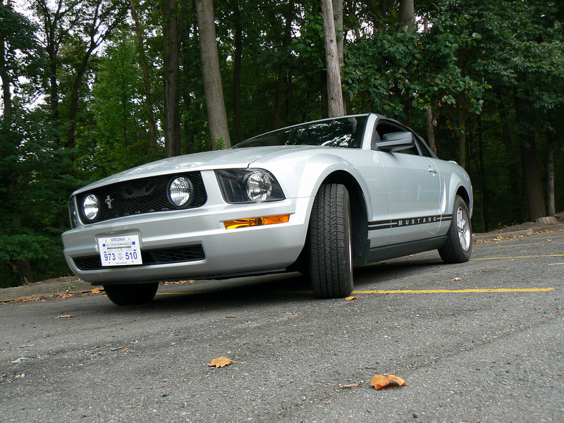 360415098_XZyMT-L.jpg