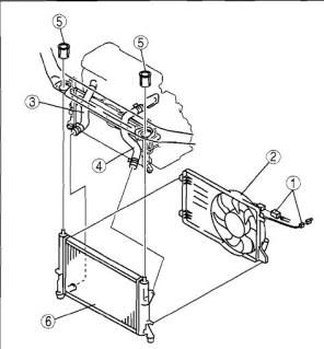 2010spd3RadiatorandHoses.jpg