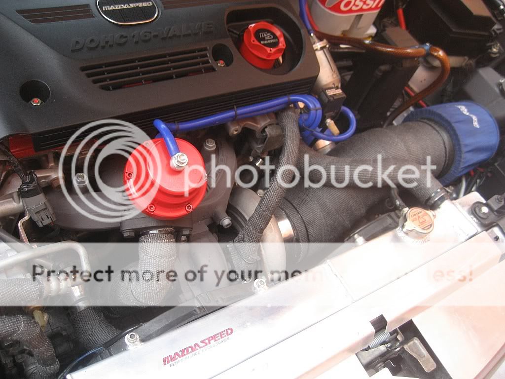 EngineBayNov20108.jpg