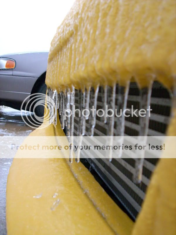 IceStormpics017.jpg