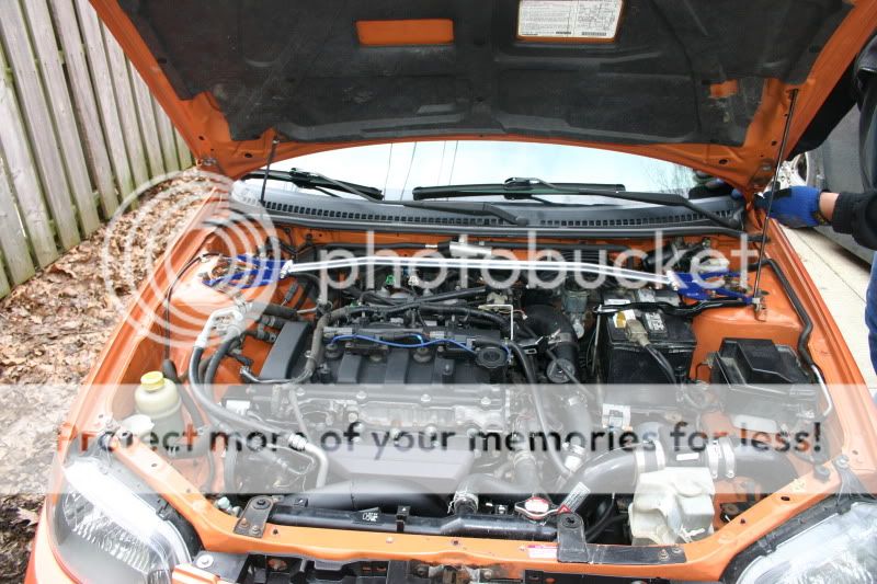 Spicypics009.jpg