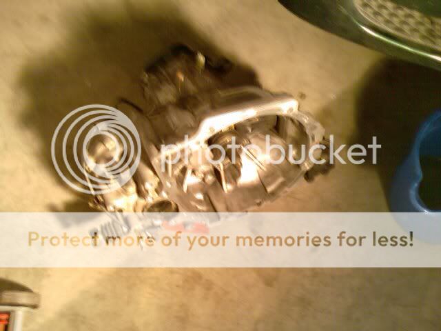 IMAG0019.jpg
