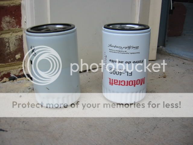 IMG_4531.jpg