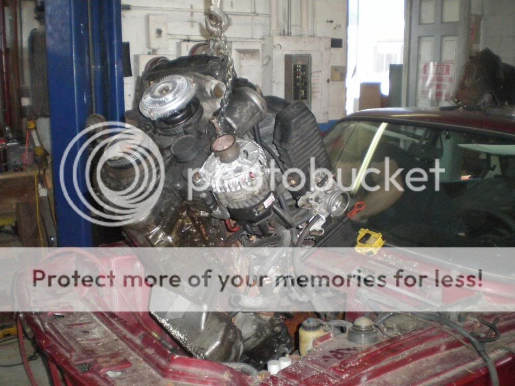 bmwbuild033.jpg