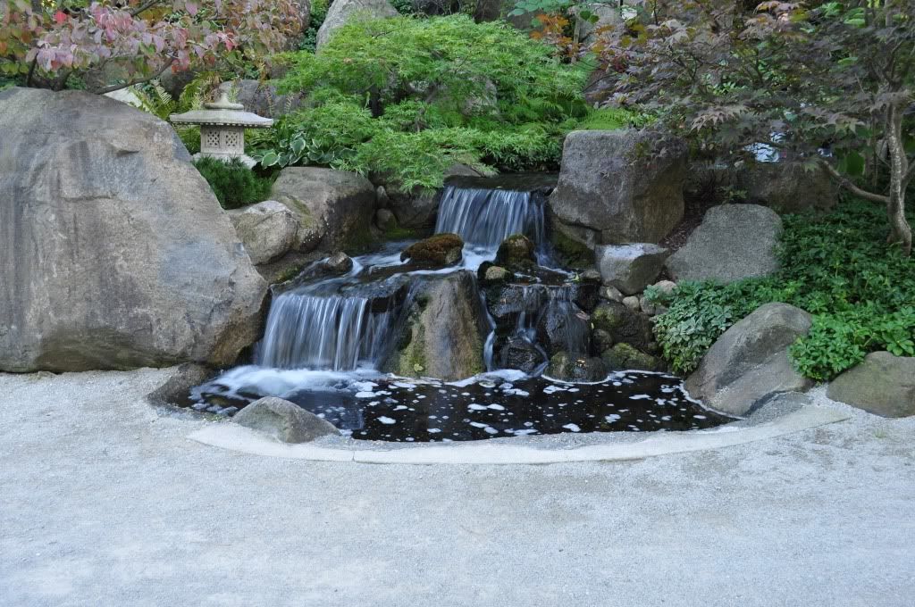 DSC_0397.jpg