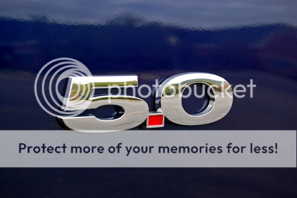 DSC_6564.jpg
