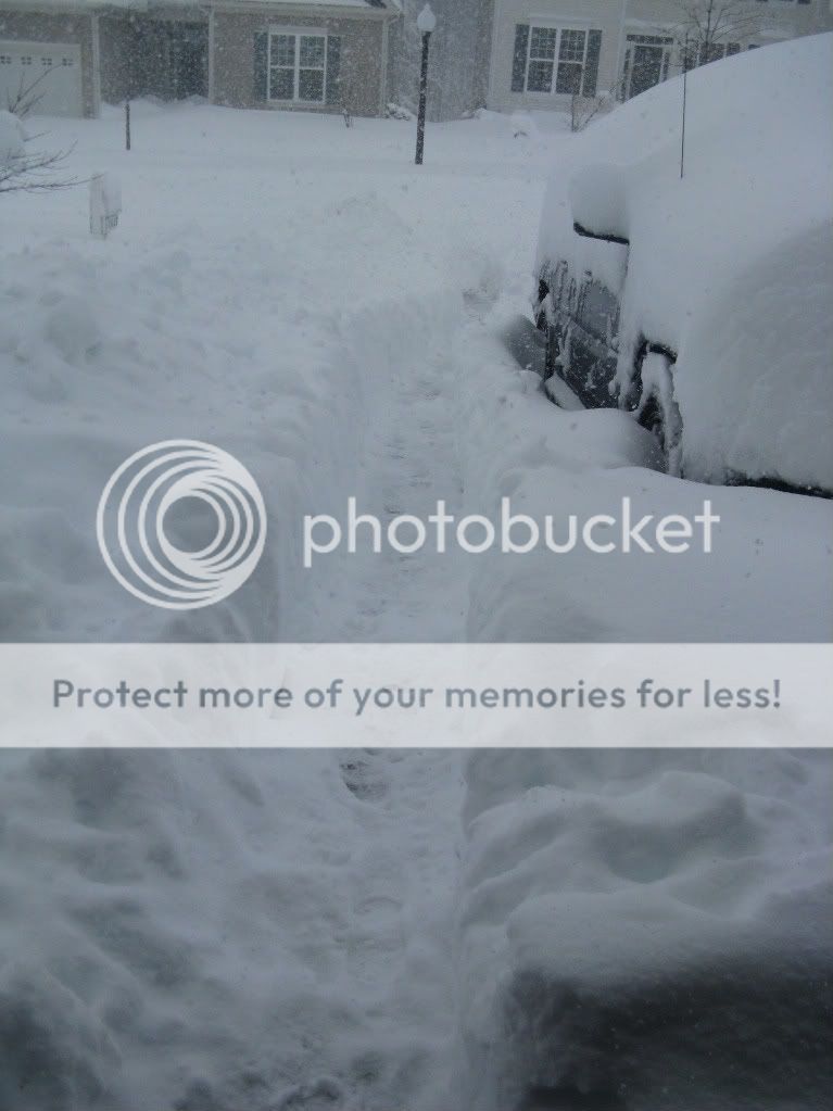 020610snow3.jpg