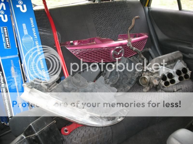 IMG_0214800x600.jpg