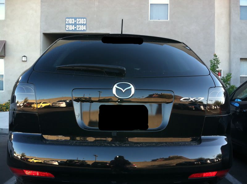 taillights1forum.jpg