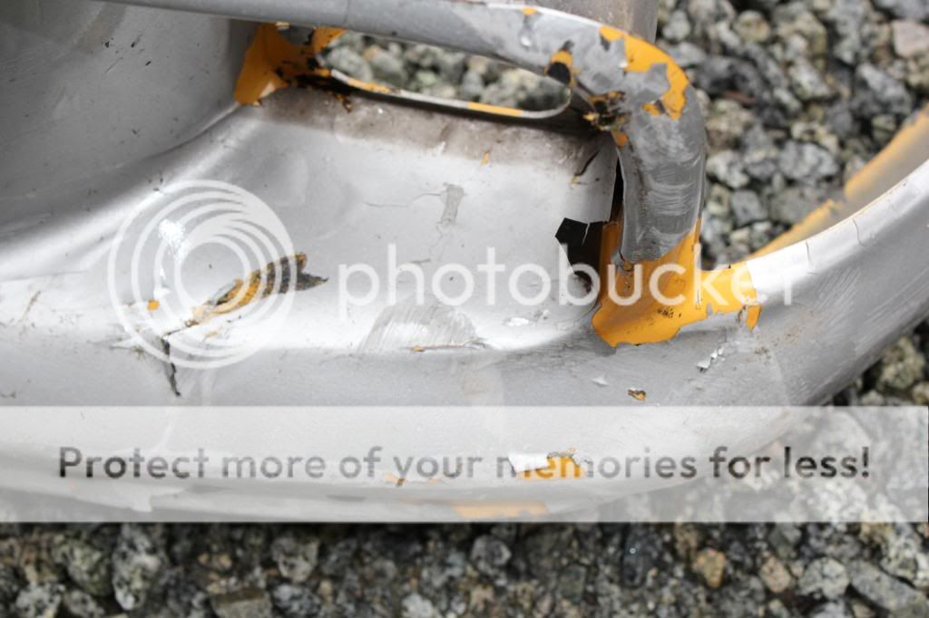 IMG_4401_zps6ac917b2.jpg