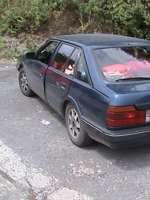 DSC00295.jpg