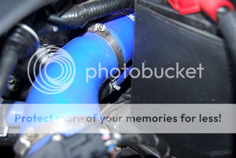 DSC_0004copy.jpg